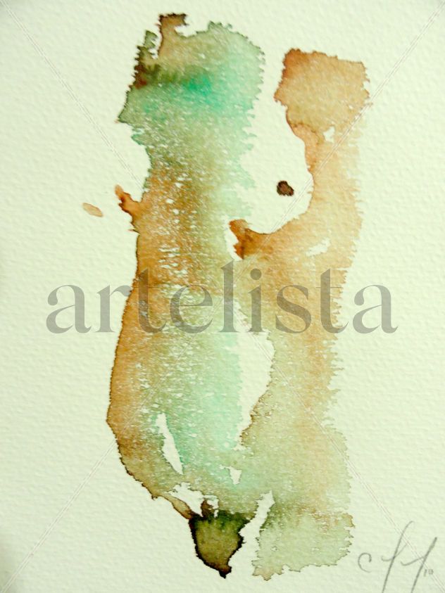 torso