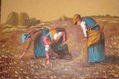 mujeres en el campo