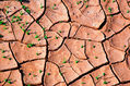 Fotografías de las Salinas naturales de Famara en Lanzarote. La sal contenida en el agua del mar al evaporarse forma abstracciones en contacto o por deposito cono sobre los diferentes elemento y sustancias