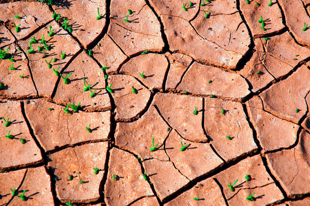 Fotografías de las Salinas naturales de Famara en Lanzarote. La sal contenida en el agua del mar al evaporarse forma abstracciones en contacto o por deposito cono sobre los diferentes elemento y sustancias Naturaleza Color (Digital)