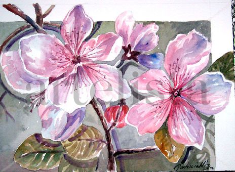 Flores de durazno (2)