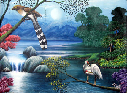 Pajaros de costa rica.