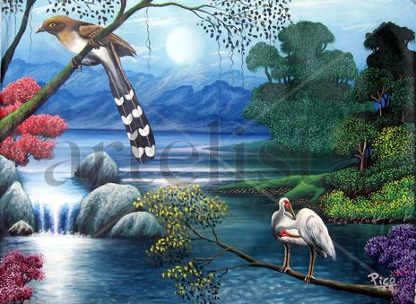 Pajaros de costa rica.