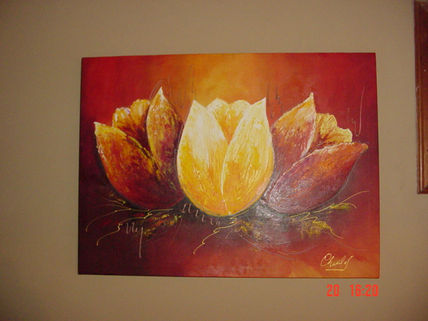 Tulipanes