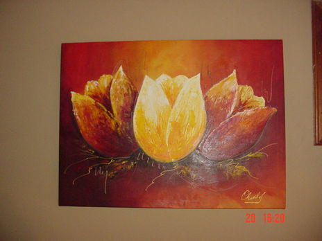 Tulipanes