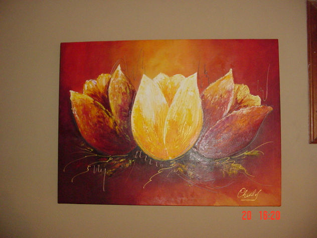 Tulipanes