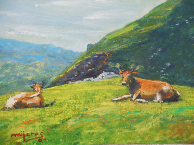 vacas