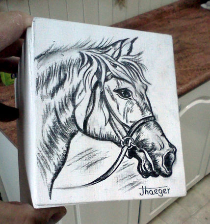 Caballo grafito
