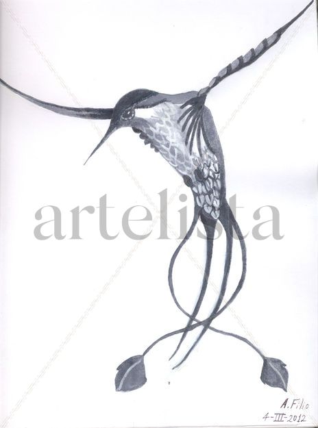 Colibrí