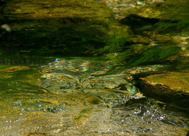 Running water - River Jache - third Naturaleza Color (Digital)