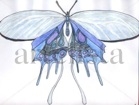 Mariposa azul