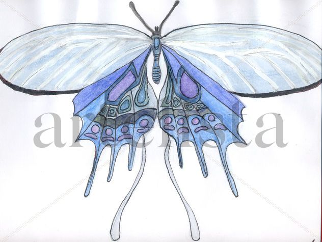 mariposa azul