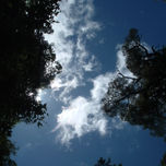 fotos thumbnail 1