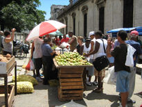 Feria agropecuaria