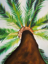 Palmera