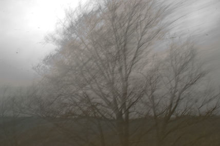 Niebla densa