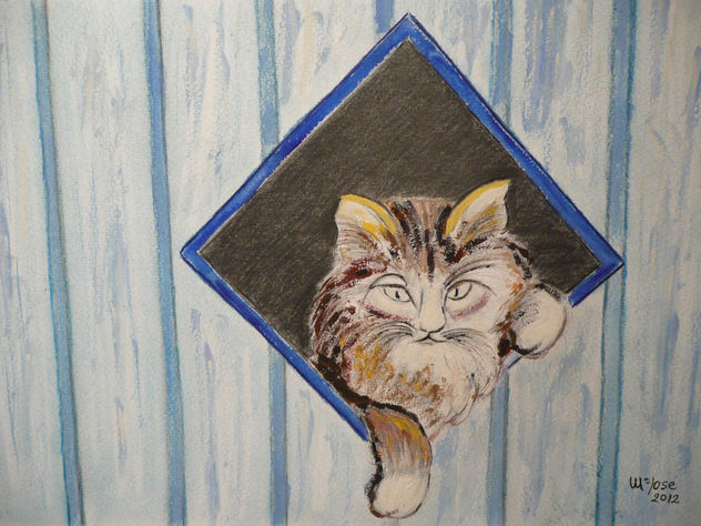 gatito
