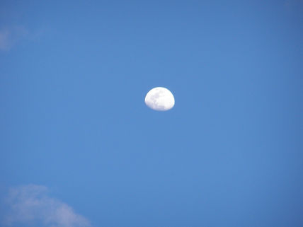 Luna bella