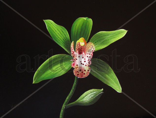 25-ORQUÍDEA Oil Panel Floral Painting