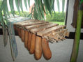 Marimba Sencilla