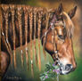 cavallo con treccine