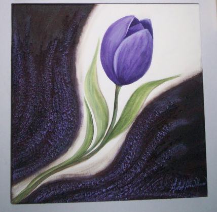 Tulipan