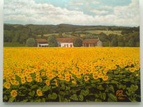 Campo de girasoles