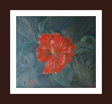 Hibisco rojo