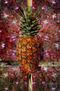 Semillas de Piña / Pineapple Seeds
