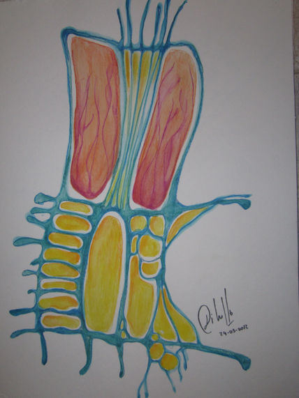 Intuicion 1