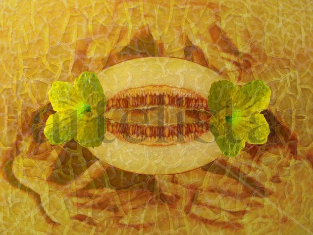 Semillas de Melón / Melon Seeds
