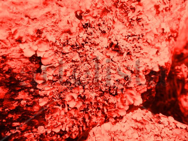 Expectativa coral Conceptual/Abstracto Color (Digital)