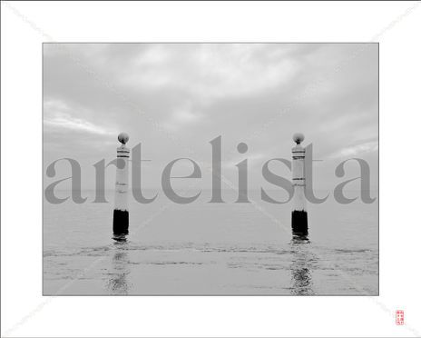 The gate