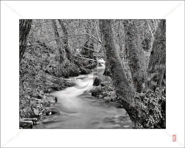 River flow Nature Black and White (Digital)