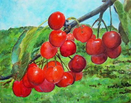Cerezas