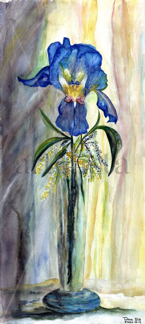 Azul Lirio