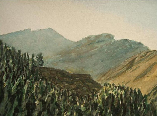 Merendero Watercolour Paper Landscaping