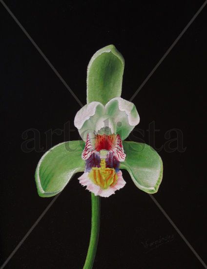 26-ORQUÍDEA Oil Panel Floral Painting