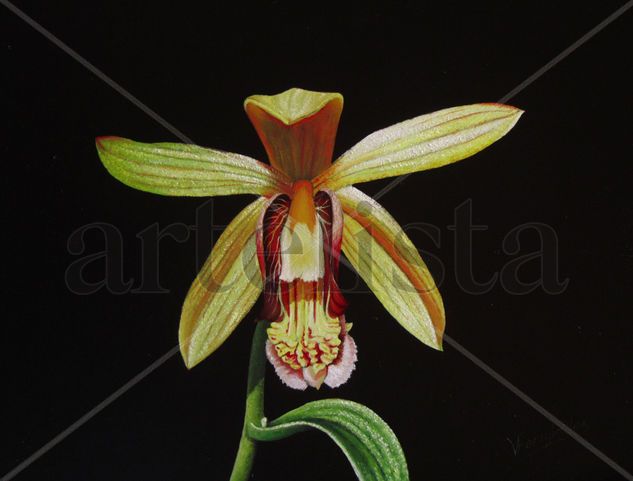 27-ORQUÍDEA Oil Panel Floral Painting