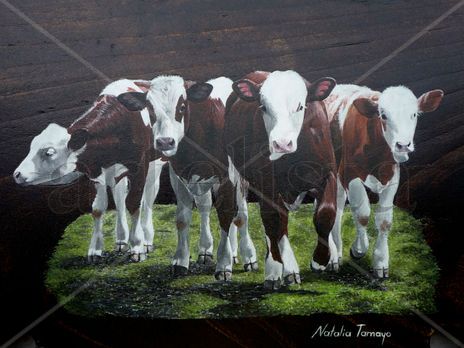 Terneros simmental