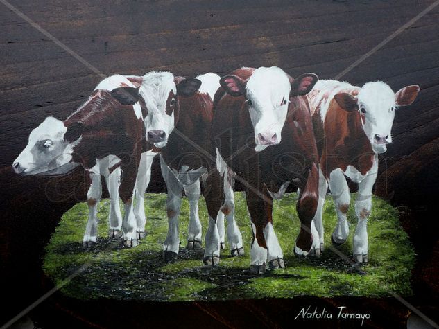 Terneros simmental Acrylic Panel Landscaping