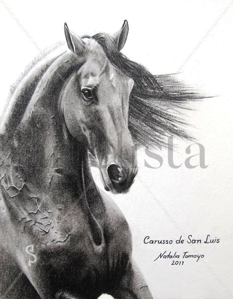 Carusso de San Luis