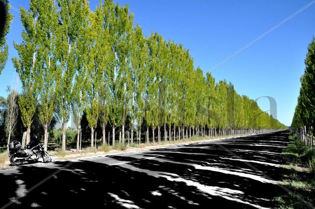 Valle RíoNegro