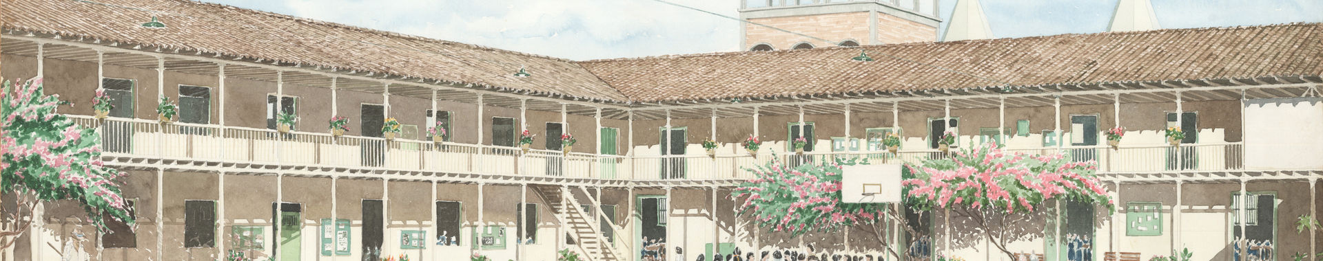 Imagen de portada