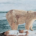 cuadros animales thumbnail 2
