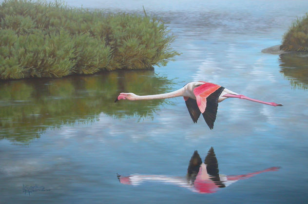 Reflejos