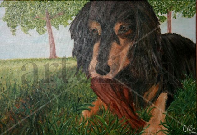 A dog called Terra Oil Canvas Animals