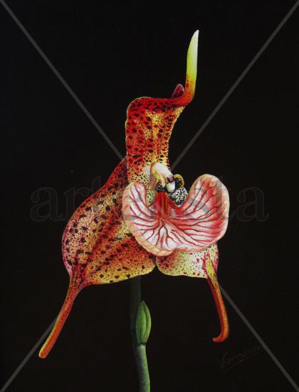 28-ORQUÍDEA Oil Panel Floral Painting