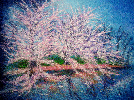 Primavera