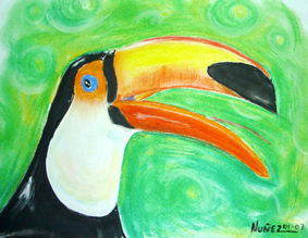 Tucan Pastel Papel Paisaje